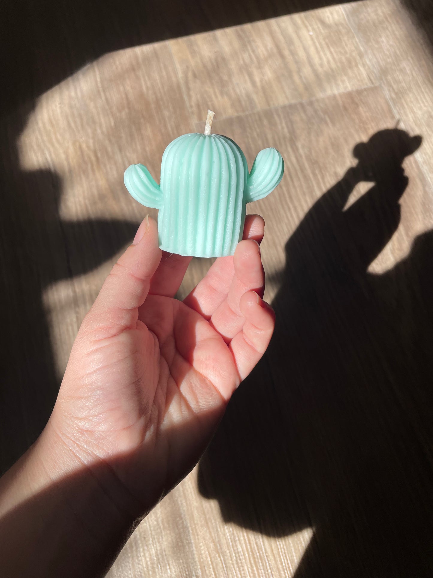 Cactus Pillar Candle