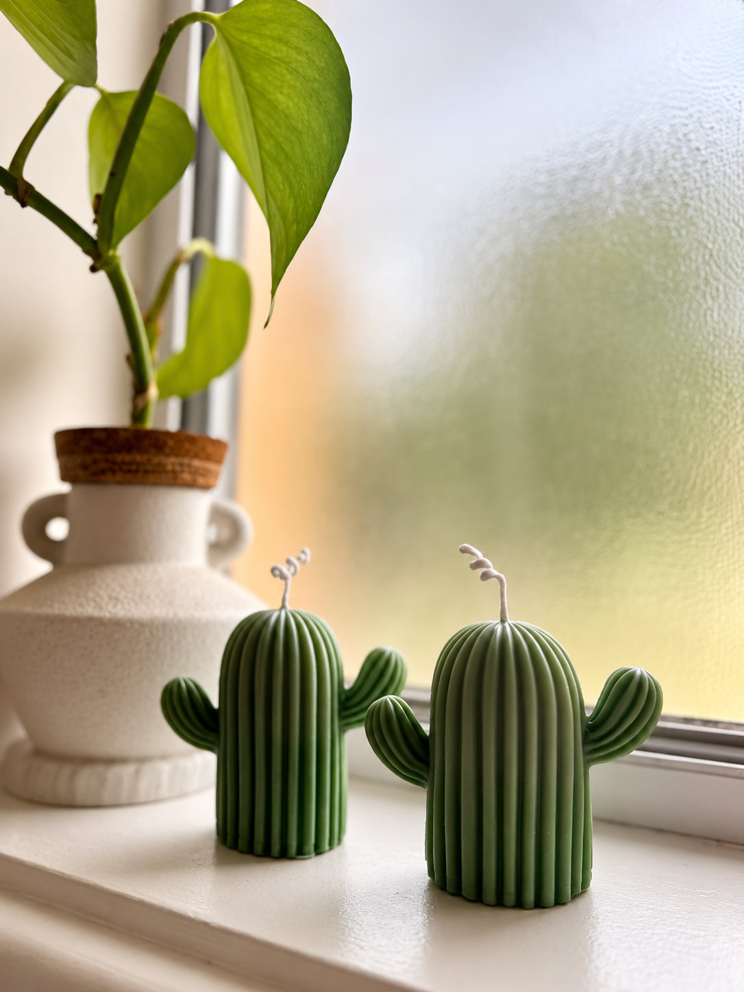 Cactus Pillar